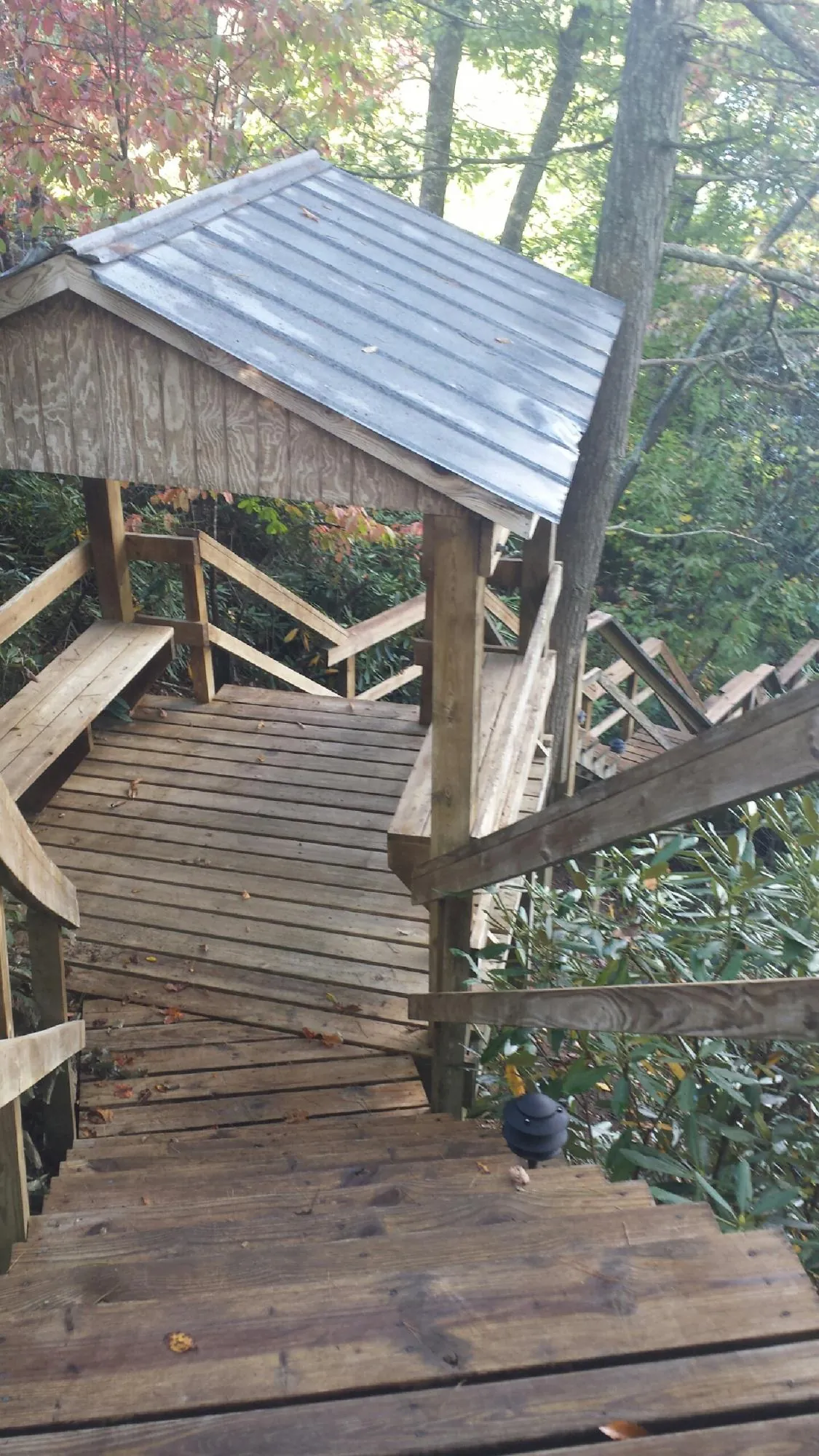 Metal roofed shelter over wooden steps on a wooded walkway — Skylight Repair & Installation work by our crew in Cougar