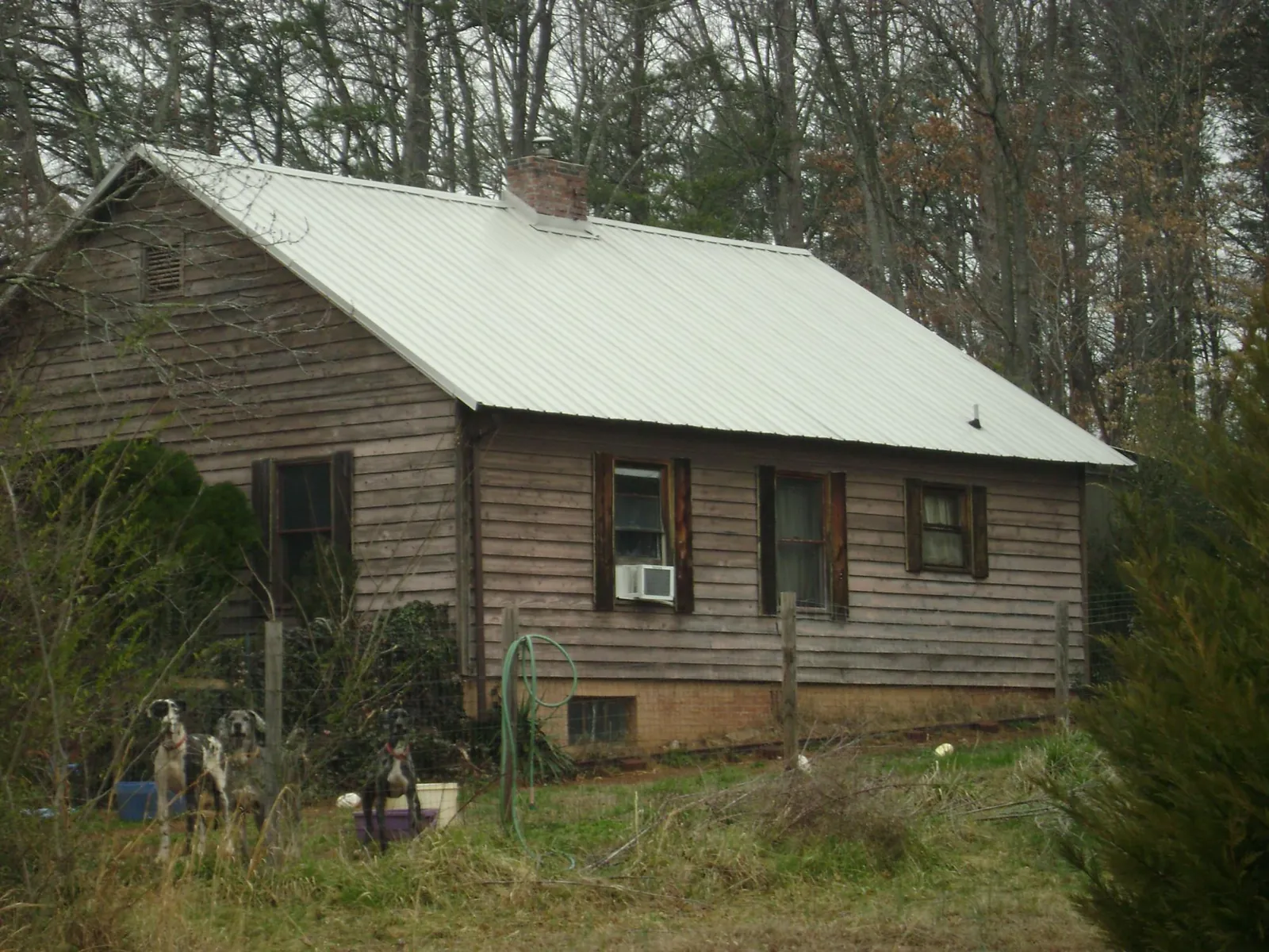 White metal roof on an old wood sided farmhouse, from a Metal Roof Installation job in Cougar
